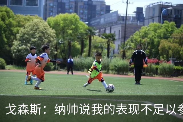 戈森斯：纳帅说我的表现不足以参加世界杯，但未来有希望回国家队